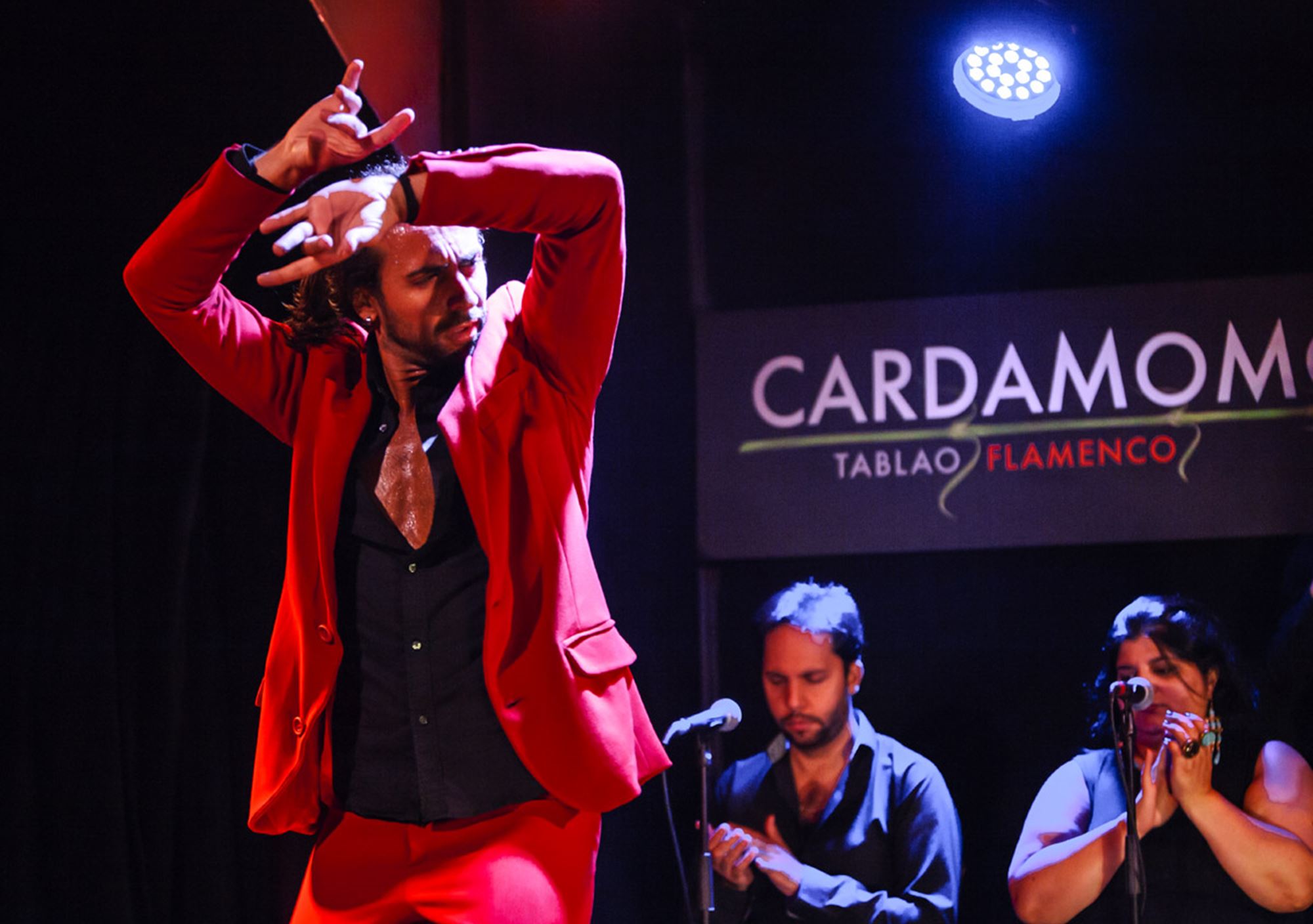 acheter réserver tours Spectacle du flamenco à Cardamomo Tablao billets visiter madrid